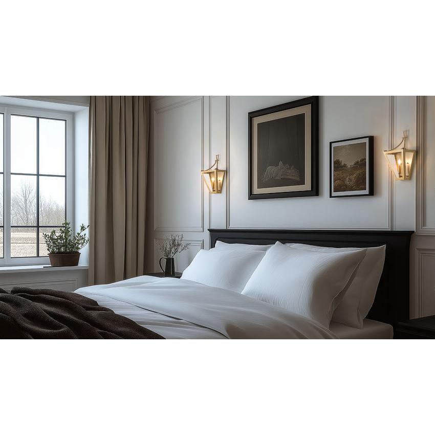 Z-Lite Montalcino 10" 2-Light Rubbed Brass Steel Frame Clear Seedy Glass Shade Wall Sconce