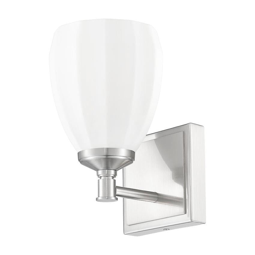 Z-Lite Oren 1-Light Medium Bulb Base Brushed Nickel Steel Frame Matte Opal Glass Shade Vanity Light