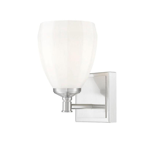 Z-Lite Oren 1-Light Medium Bulb Base Brushed Nickel Steel Frame Matte Opal Glass Shade Vanity Light