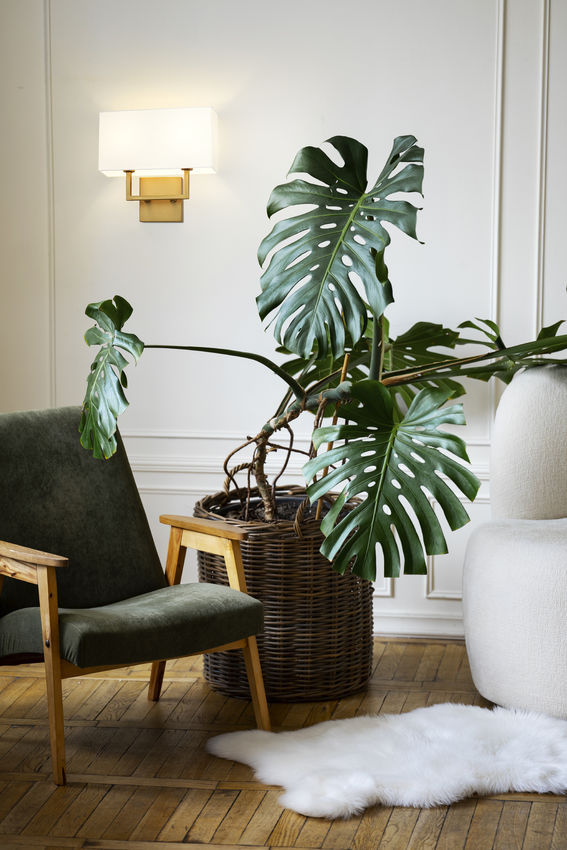 Z-Lite Saxon 12" 2-Light Olde Brass Steel Frame White Fabric Shade Wall Sconce