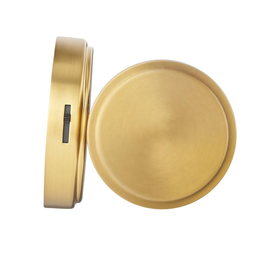 Z-Lite Solange 19" 1-Light LED Integrated Modern Gold Steel Opal White Glass Shade Vanity Lighting