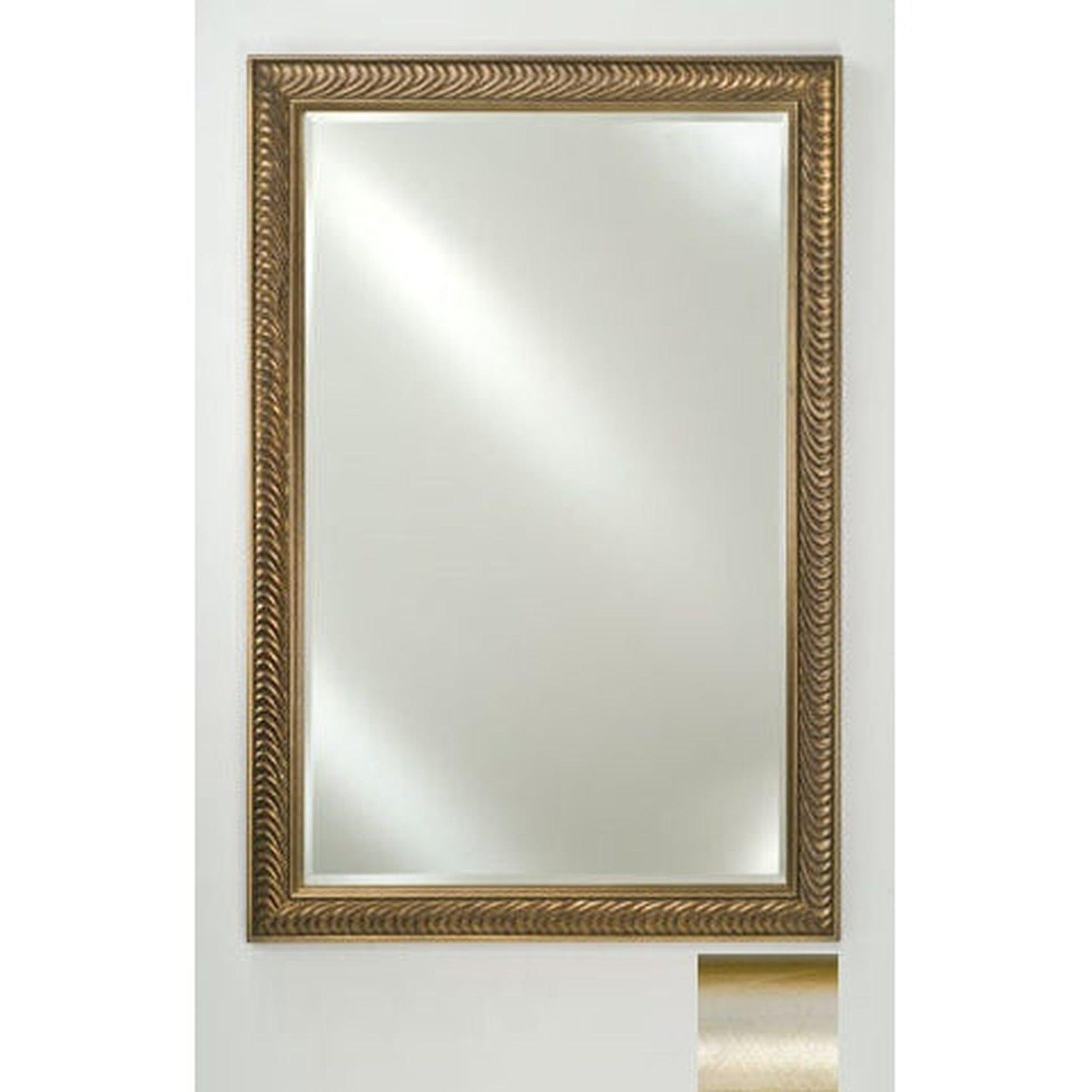 Afina Signature 20" x 26" Brushed Satin Silver Framed Mirror With Beveled Edge