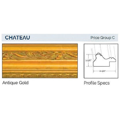 Afina Signature 20" x 26" Chateau Antique Gold Framed Mirror With Plain Edge