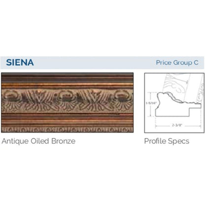 Afina Signature 20" x 26" Siena Oiled Bronze Framed Mirror With Plain Edge
