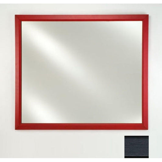 Afina Signature 20" x 26" Soho Brushed Black Framed Mirror With Plain Edge