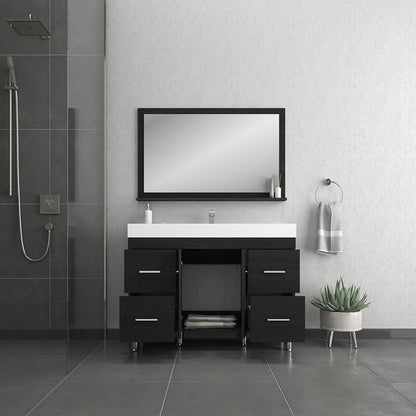 Alya Bath Ripley 48" Single Black Modern Freestanding Bathroom Vanity With Integrated Acrylic Top, Acrylic Sink and Wall Mounted Mirror