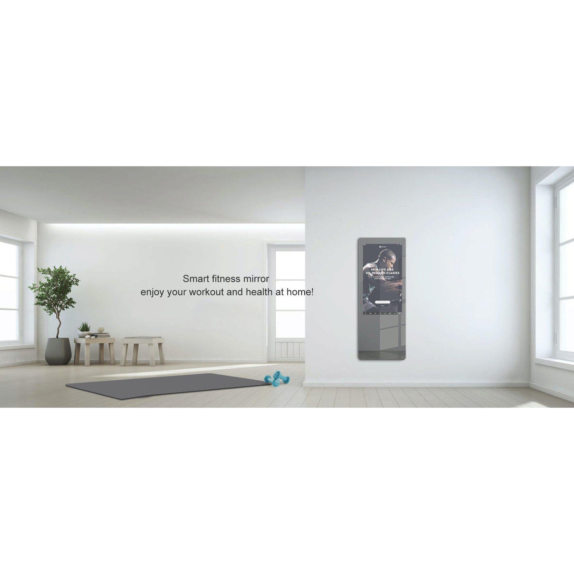 Buy Smart Fitness Mirror Energy 18in x 48in x 1in at the price of $ 3  216.00 from the manufacturer