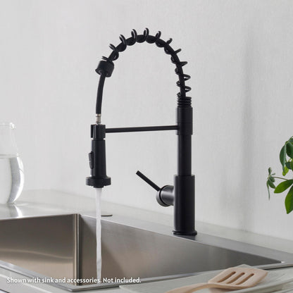 Blossom F01 205 9" x 17" Matte Black Single Lever Handle Pull Down Kitchen Faucet