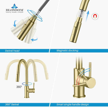 Blossom F01 206 9" x 17" Brushed Gold Single Lever Handle Pull Down Kitchen Faucet