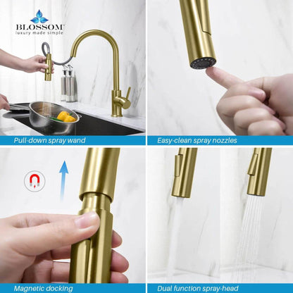 Blossom F01 206 9" x 17" Brushed Gold Single Lever Handle Pull Down Kitchen Faucet