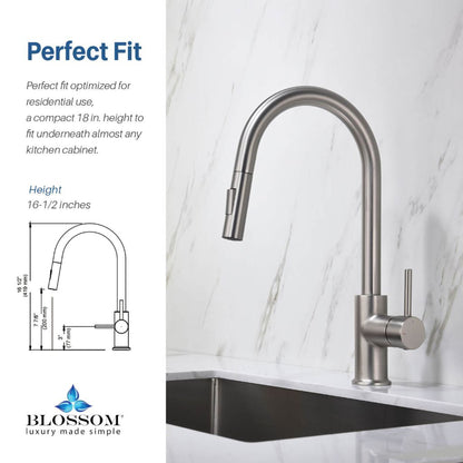 Blossom F01 206 9" x 17" Brushed Nickel Single Lever Handle Pull Down Kitchen Faucet