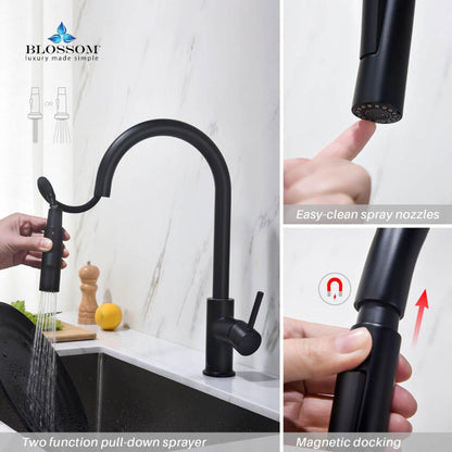 Blossom F01 206 9" x 17" Matte Black Single Lever Handle Pull Down Kitchen Faucet