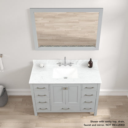 Blossom Geneva 48" 2-Door 9-Drawer Metal Gray Freestanding Solid Wood Double Vanity Base