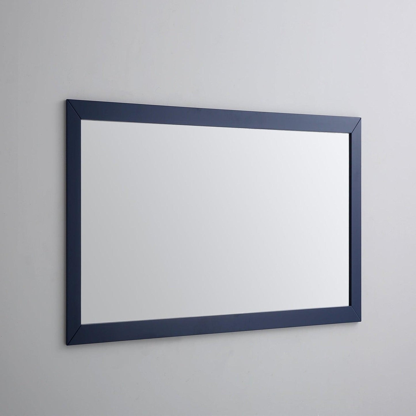 Eviva Acclaim 60" x 30" Transitional Blue Bathroom Wall-Mounted Mirror