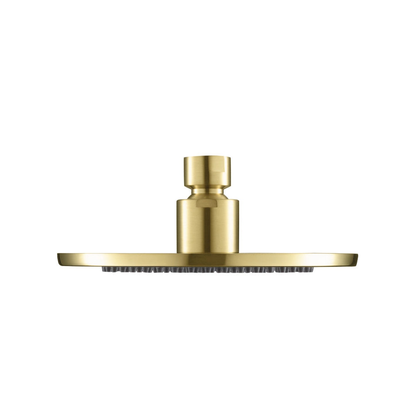 Flusso Faucets Universal Fixtures 6" Single Function Round Satin Brass PVD Solid Brass Rain Shower Head