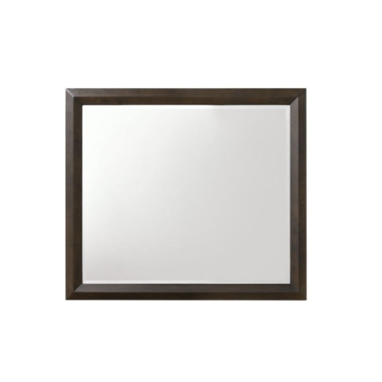 HomeRoots Wooden Rectangular Beveled Edge Mirror In Rich Espresso Finish