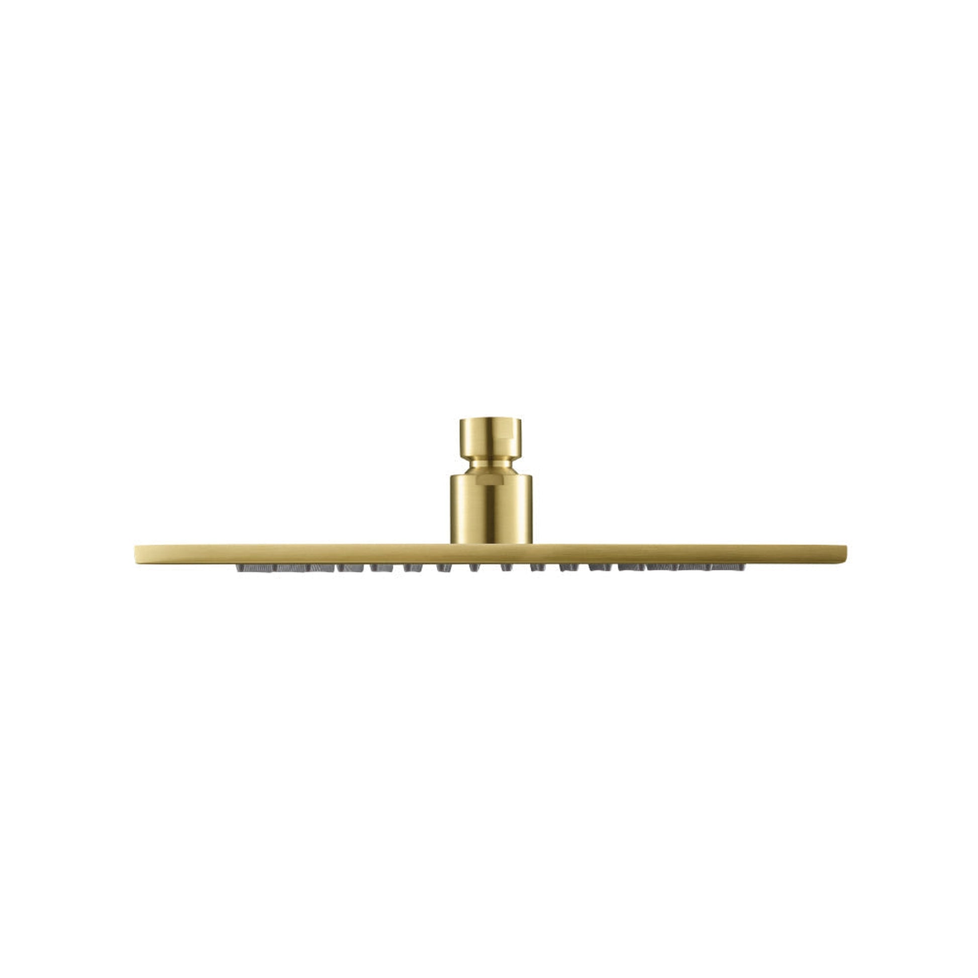 Isenberg Universal Fixtures 10" Single Function Square Satin Brass PVD Solid Brass Rain Shower Head