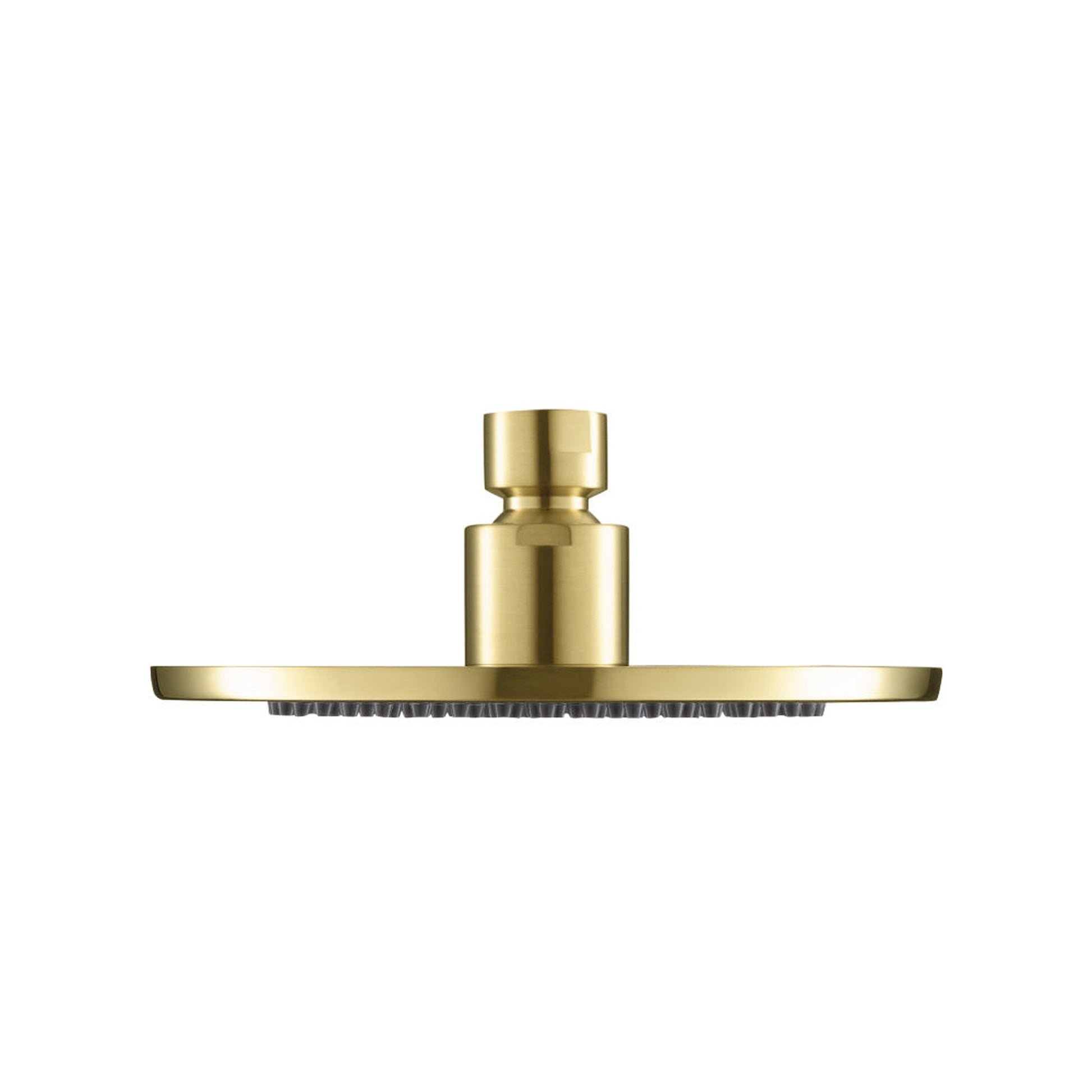 Isenberg Universal Fixtures 6" Single Function Round Satin Brass PVD Solid Brass Rain Shower Head