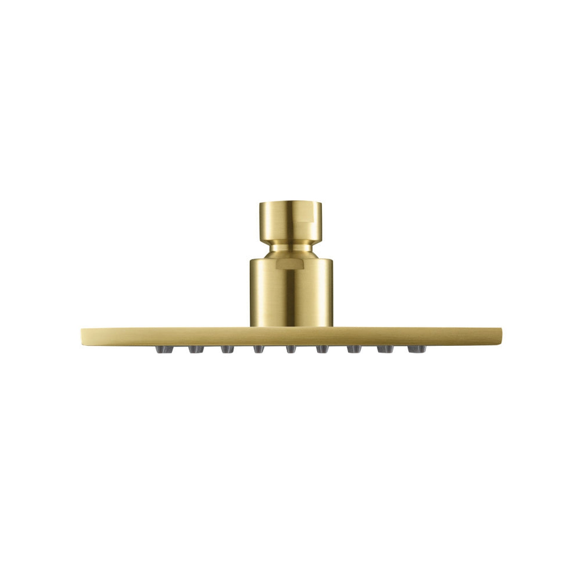Isenberg Universal Fixtures 6" Single Function Square Satin Brass PVD Solid Brass Rain Shower Head With 8" Wall Mounted Shower Arm