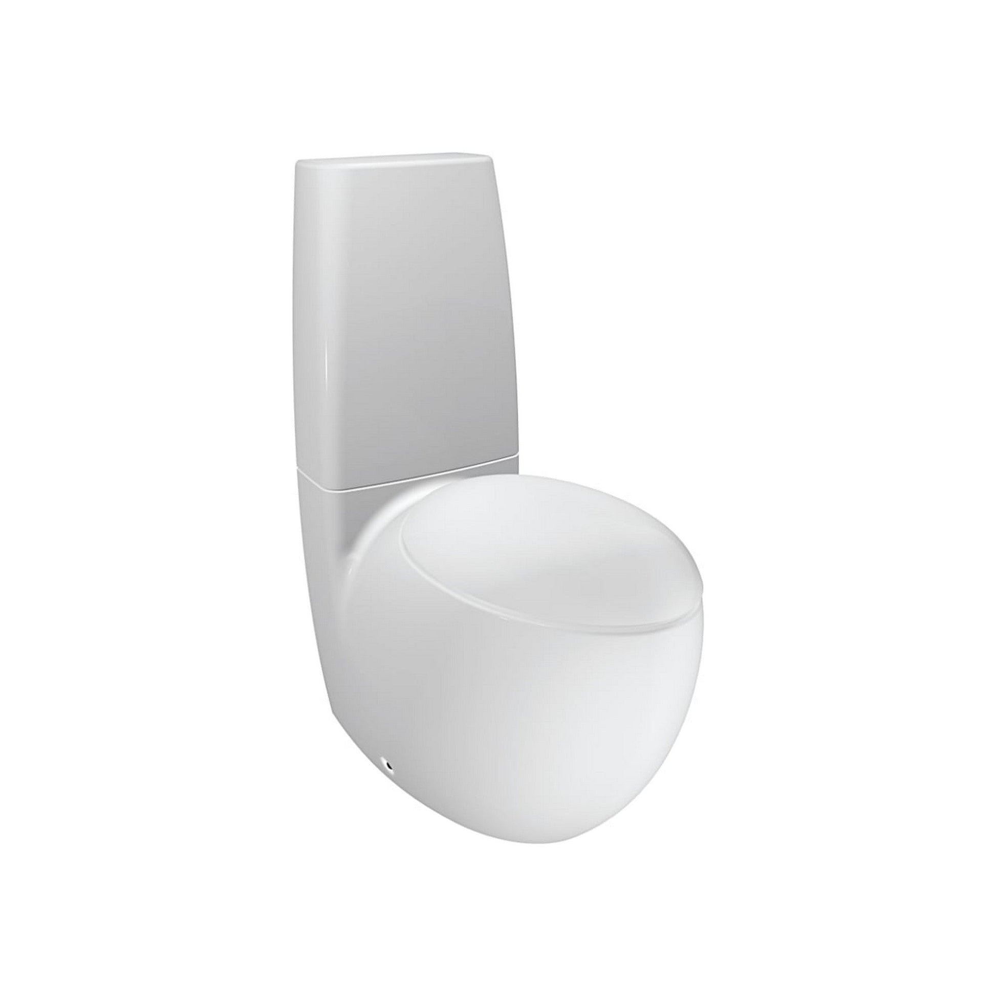 Laufen IlBagnoAlessi 15" x 37" 2-Piece White Washdown Floor-Mounted Toilet