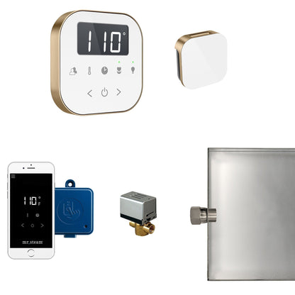 MrSteam AirButler 28" x 13" x 11" Steam Generator Control Kit Package in White Brushed Bronze