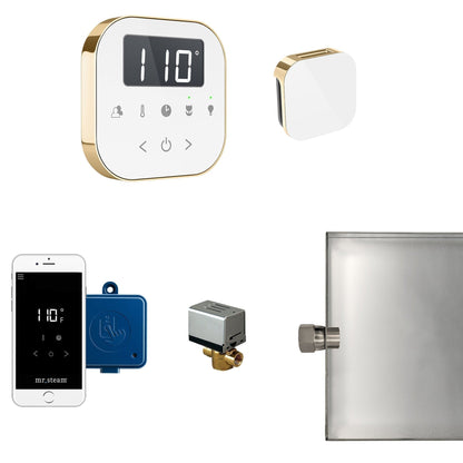 MrSteam AirButler 28" x 13" x 11" Steam Generator Control Kit Package in White Polished Brass