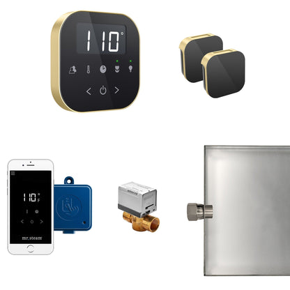 MrSteam AirButler Max 36" x 12" x 12" Steam Generator Control Kit Package in Black Satin Brass