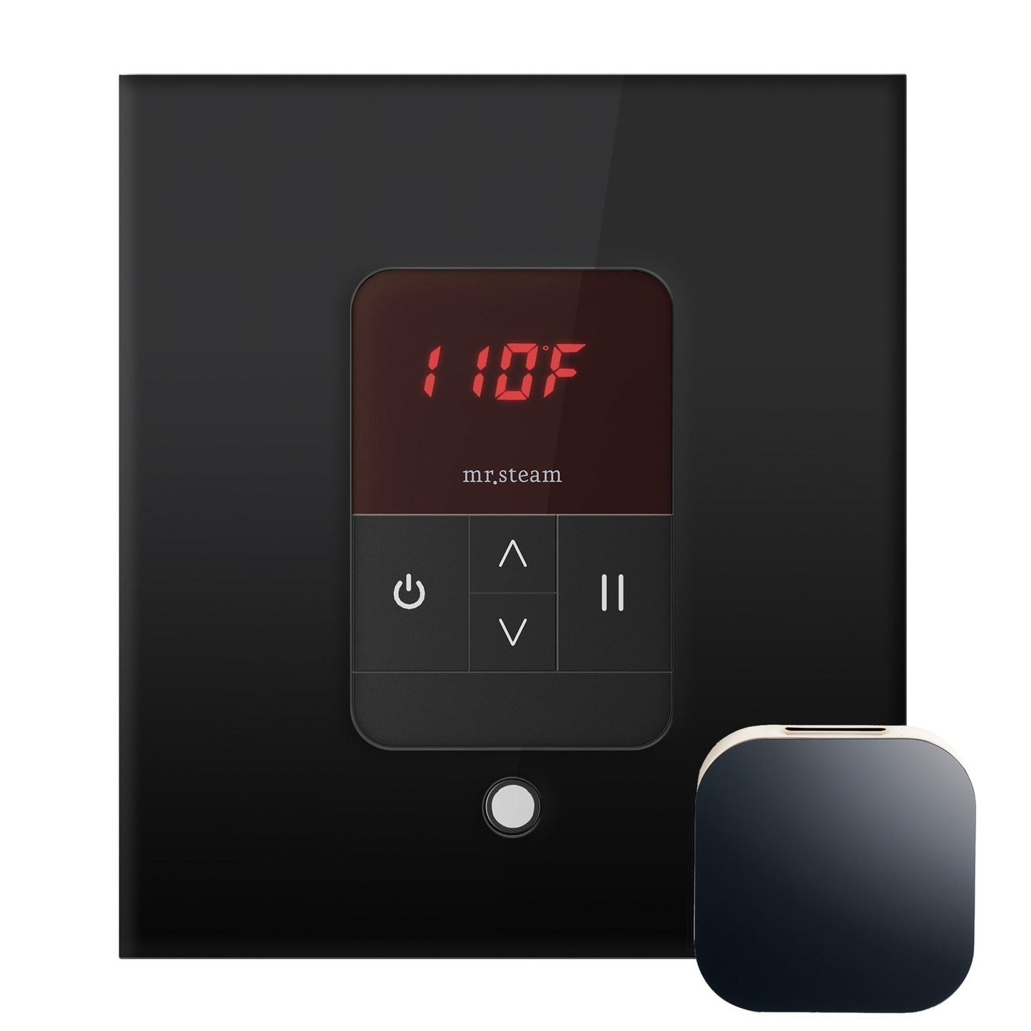 MrSteam Basic Butler Linear 28" × 13" × 11" Steam Generator Control Kit Package in Square Black
