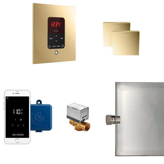 MrSteam Butler 28" x 13" x 11" Polished Brass Steam Generator Control Kit Package in Square with Autoflush, Condensation Pan, Steamlinx, Steamhead