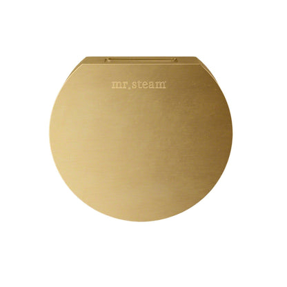 MrSteam Butler 28" x 13" x 11" Satin Brass Steam Generator Control Kit Package in Round with AutoFlush, Condensation Pan, SteamLinx, Steamhead