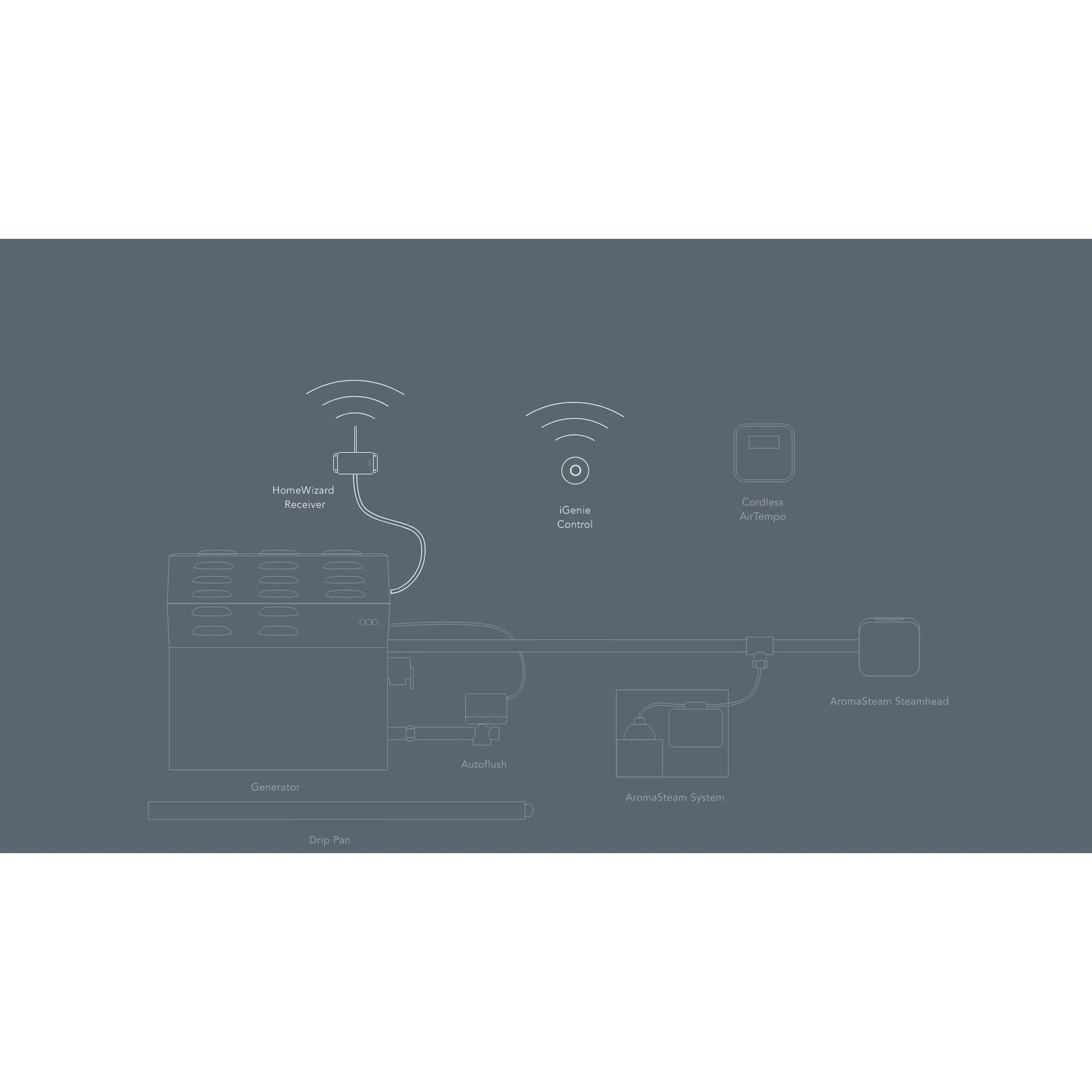 MrSteam HomeWizard 7" x 4" x 1" White Hardwired Home Automation Steam System With Interface Module And Remote Control Fob For MS, MSSUPER, and MAX Residential Generators