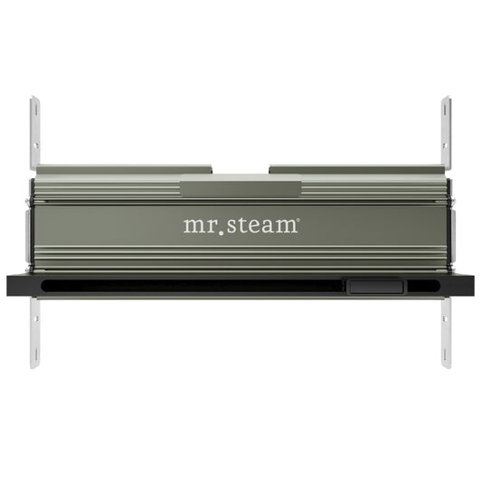 MrSteam Linear 10" × 17" × 5" Matte Black Stainless Steel Steam Head With AromaTray For All eSeries Generators
