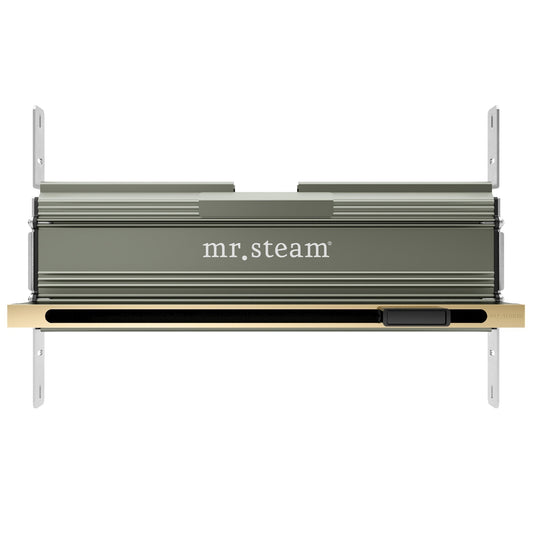MrSteam Linear 10" × 17"× 5" Polished Brass Stainless Steel Steam Head With AromaTray For All eSeries Generators
