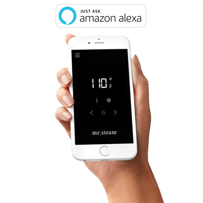 MrSteam e-SERIES MSSUPER1EC1 10 kW Steam Generator Incl iTempoPlus Control With Butler Package