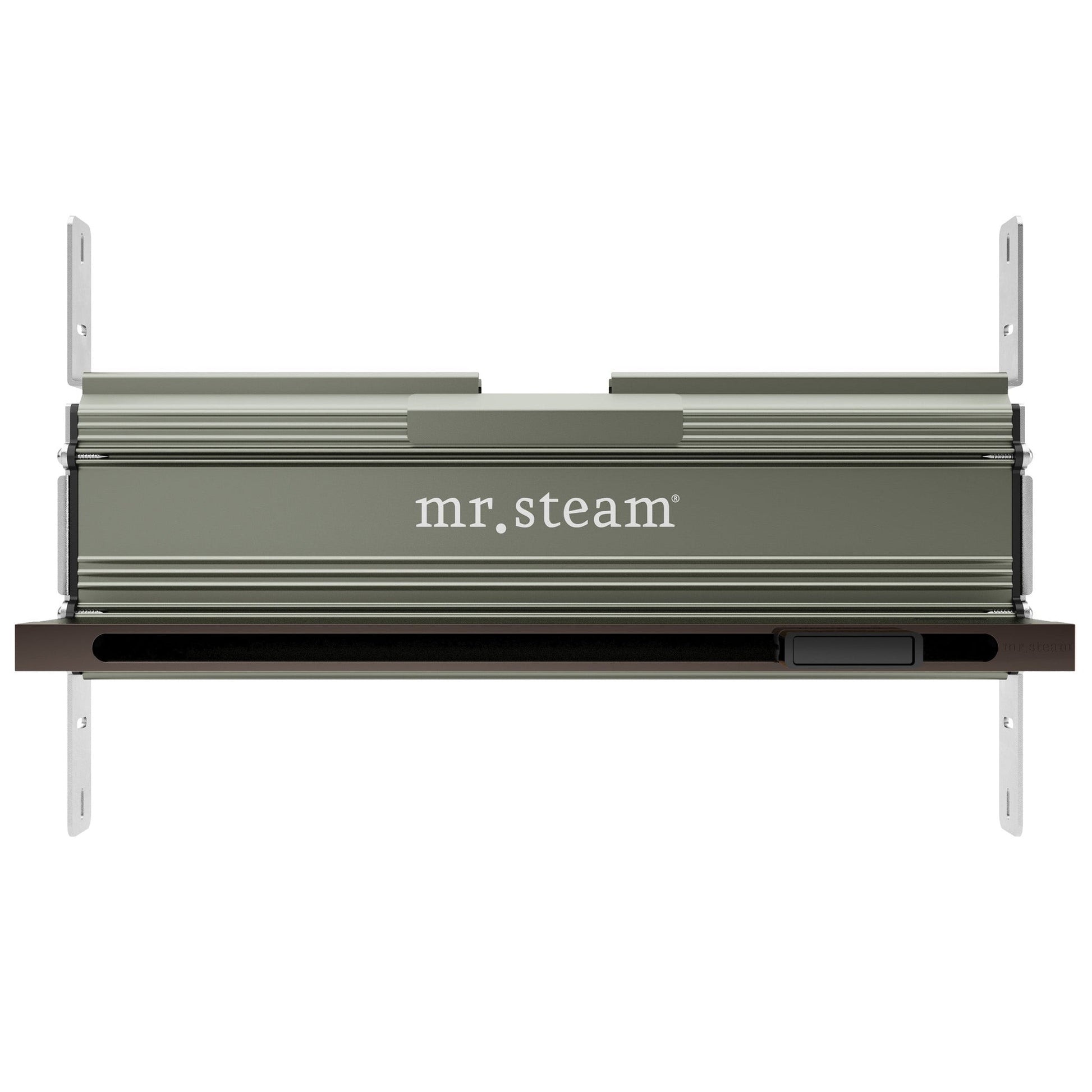 MrSteam iDream 27" x 22" x 18" Black in Linear Oil Rubbed Bronze Steam Generator Control Kit Package