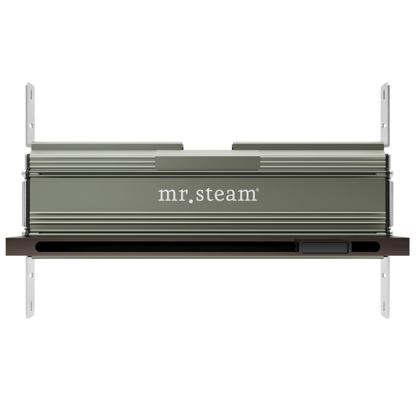 MrSteam iDream 36" x 24" x 18" White in Max Linear Oil Rubbed Bronze Steam Generator Control Kit Package