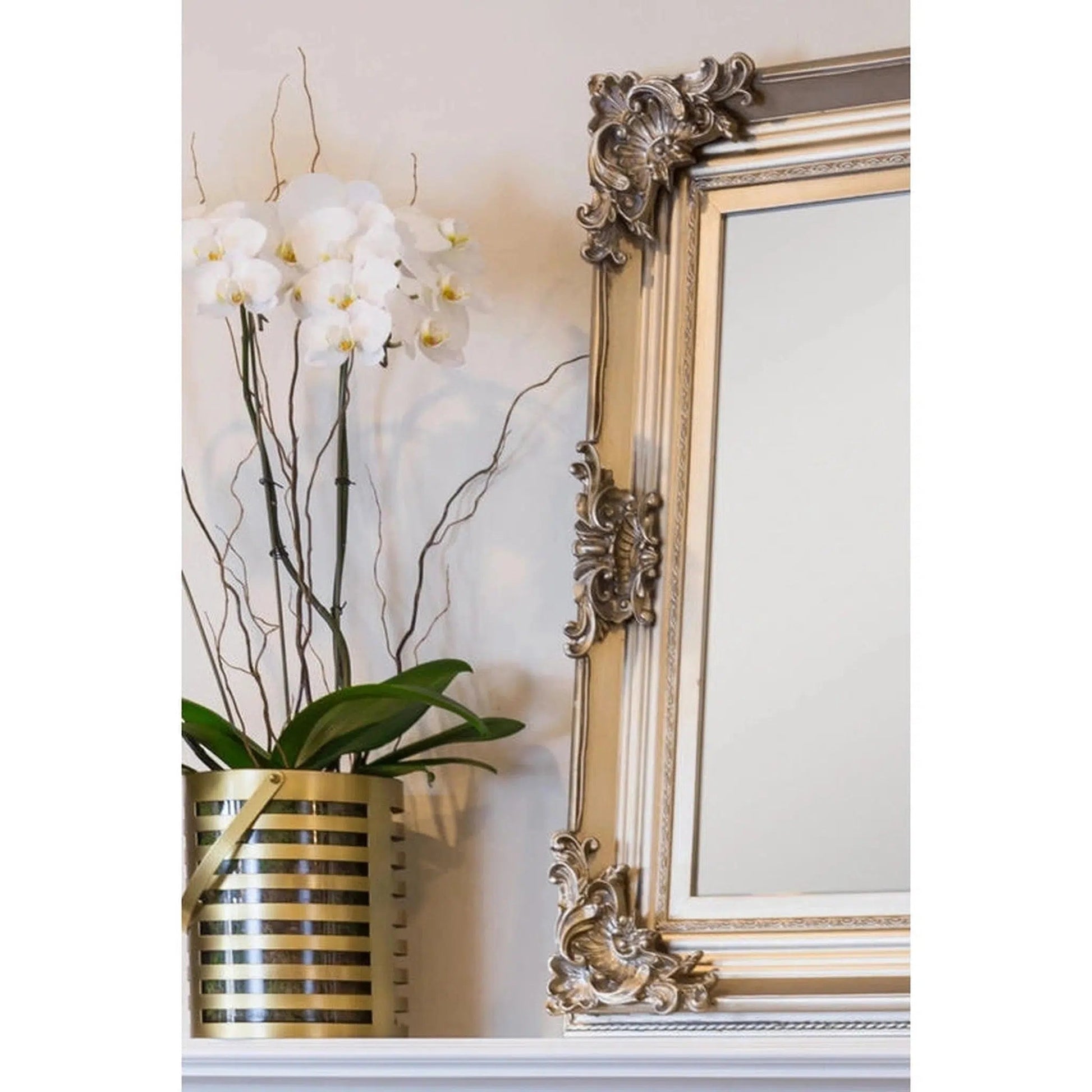 SBC Decor Beaumont 32" x 44" Wall-Mounted Wood Frame Vanity Wall Mirror In Champagne Gold Finish
