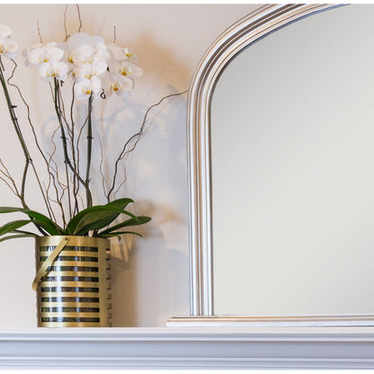 SBC Decor Lyon 31" x 47" Wall-Mounted Arched Wood Frame Dresser Wall Mirror In Brushed Silver Finish