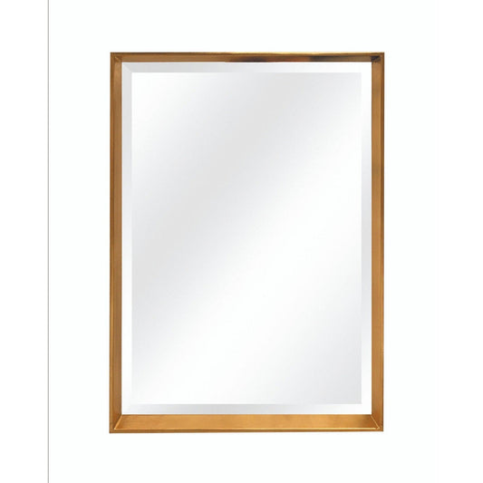 SBC Decor Mia Modern 20" x 37" Wall-Mounted Tray Frame Long Wall Mirror In Brushed Gold Finish