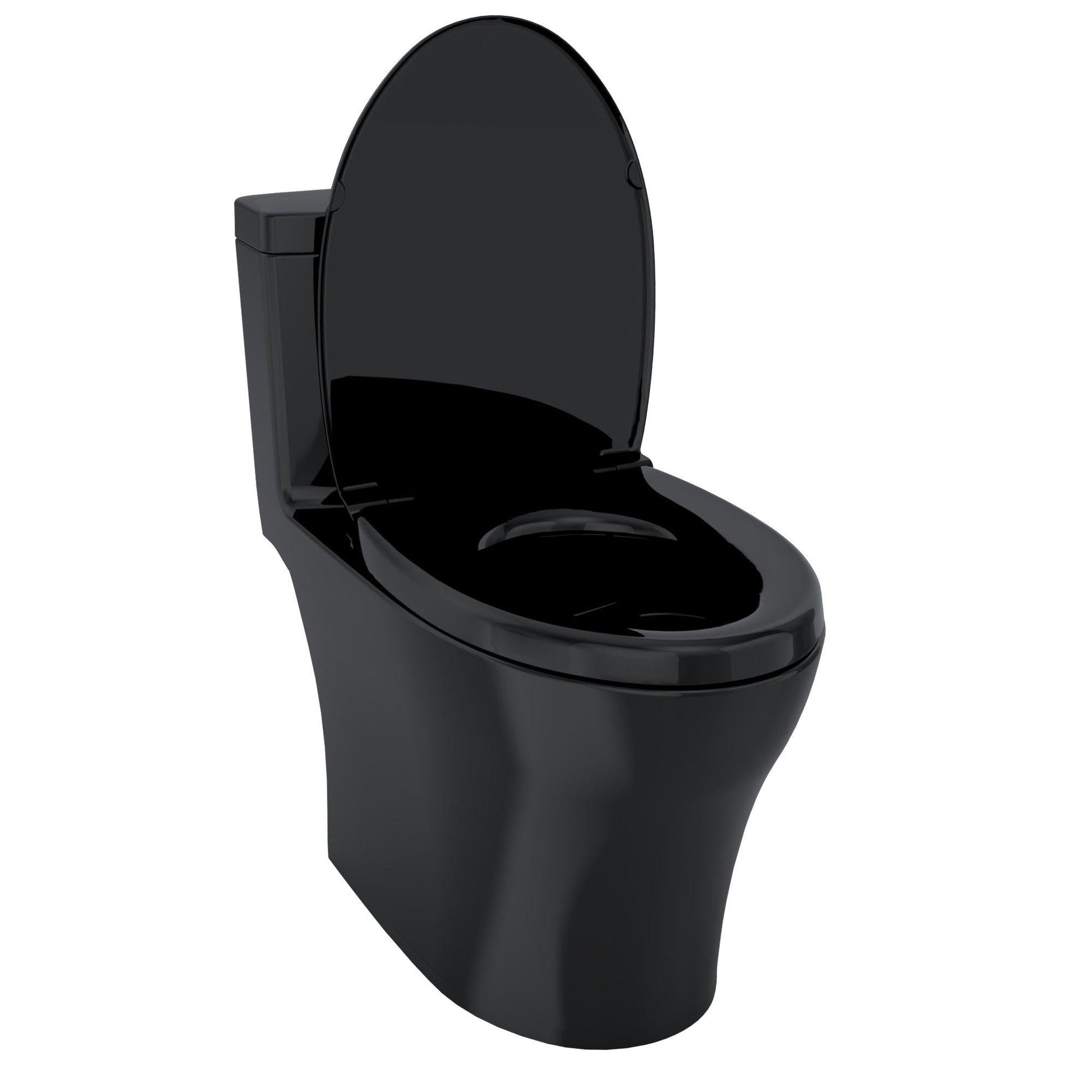 Dual-Flush Elongated One-Piece Black Toilet (Seat Included)
