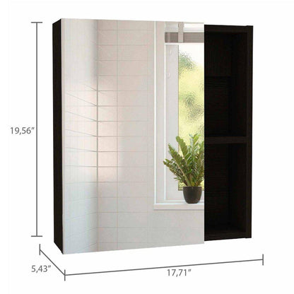 TUHOME Labelle 18" x 20" Black Wengue Wall-Mounted Mirror Medicine Cabinet With 2 Open Shelves