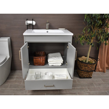 Volpa USA Rio 24" Gray Freestanding Modern Bathroom Vanity With Integrated Acrylic Top and Brushed Nickel Handles