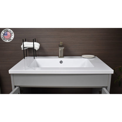 Volpa USA Rio 24" Gray Freestanding Modern Bathroom Vanity With Integrated Acrylic Top and Brushed Nickel Handles