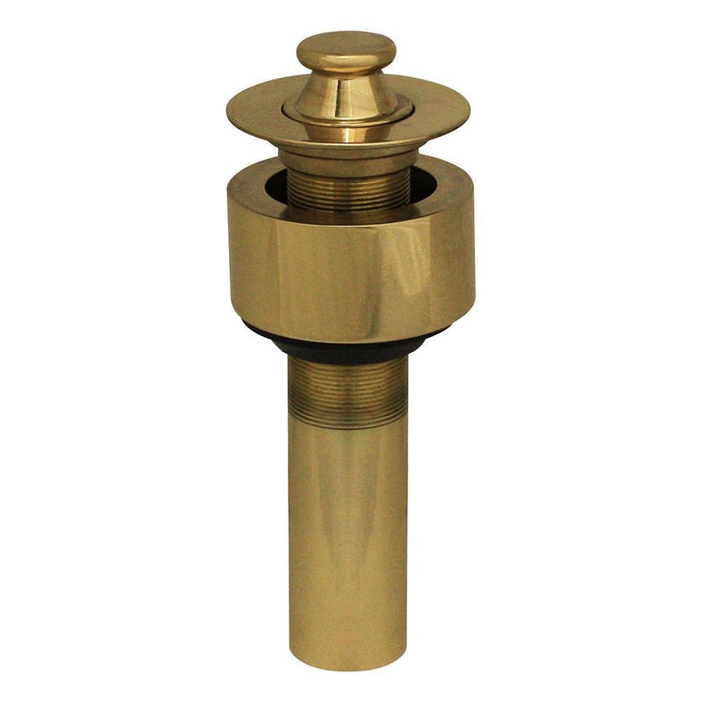 Whitehaus 10.515-B Polished Brass Lift and Turn Drain With Pull-up Plug