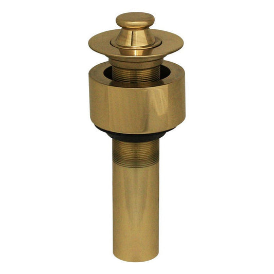 Whitehaus 10.515-B Polished Brass Lift and Turn Drain With Pull-up Plug